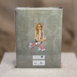 ΑΛΜΠΟΥΜ-MY FAVORITE SKATES 200 ΦΩΤΟΓΡΑΦΙΩΝ 10Χ15 - Image 4