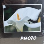 ΑΛΜΠΟΥΜ-ΜΑΥΡΟ ΜΕ ΛΟΥΛΟΥΔΙ 200 ΦΩΤΟΓΡΑΦΙΩΝ 10Χ15 - Image 2