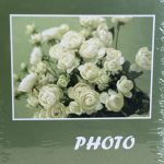 ΑΛΜΠΟΥΜ-ΠΡΑΣΙΝΟ ΜΕ ΛΟΥΛΟΥΔΙΑ 200 ΦΩΤΟΓΡΑΦΙΩΝ 10Χ15 - Image 2