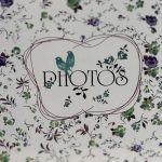 ΑΛΜΠΟΥΜ-ΜΠΛΕ ΜΕ ΛΟΥΛΟΥΔΙΑ 200 ΦΩΤΟΓΡΑΦΙΩΝ 11,5Χ15 - Image 2