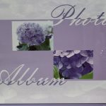 ΑΛΜΠΟΥΜ-ΜΩΒ ΜΕ ΛΟΥΛΟΥΔΙΑ ΡΙΖΟΧΑΡΤΟ - Image 2